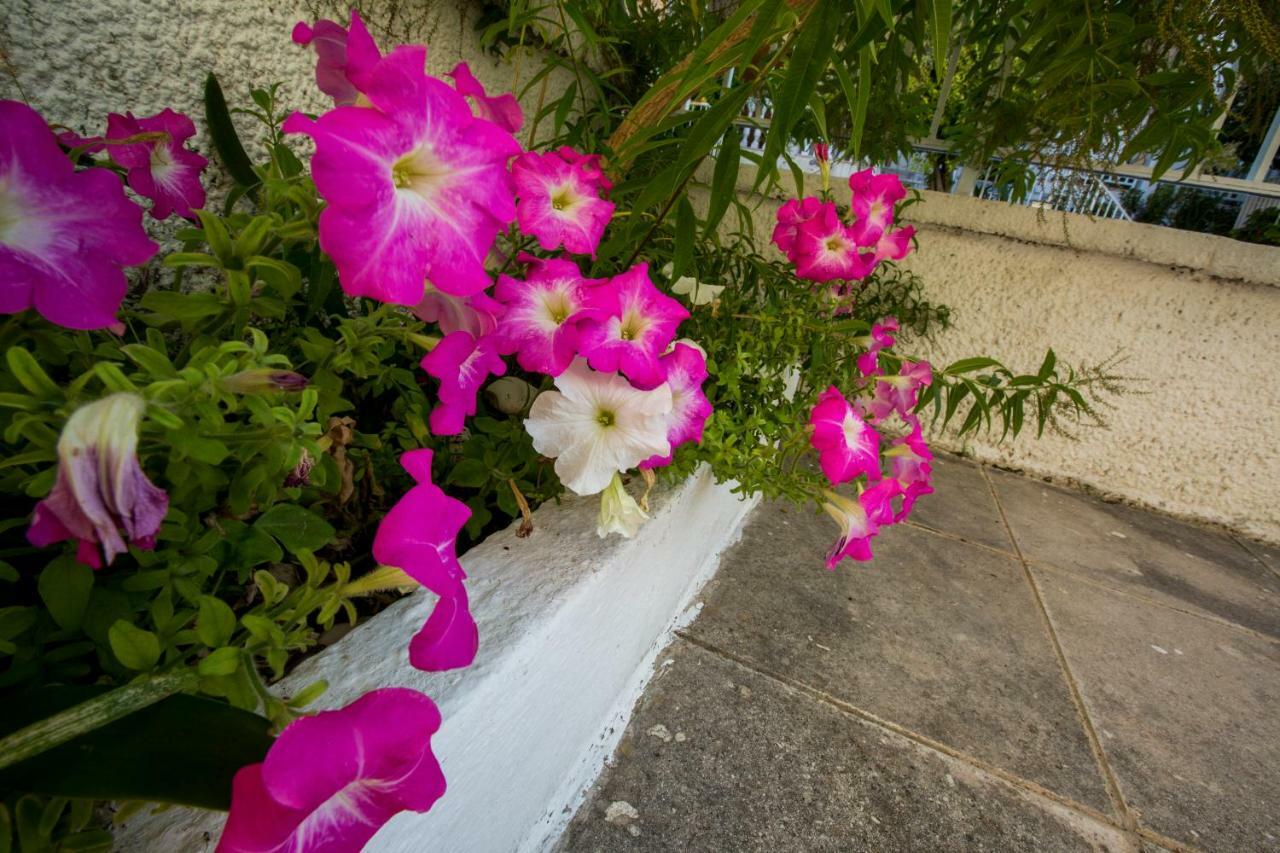 Vila Marietta'S Townhouse Argostoli  Exteriér fotografie