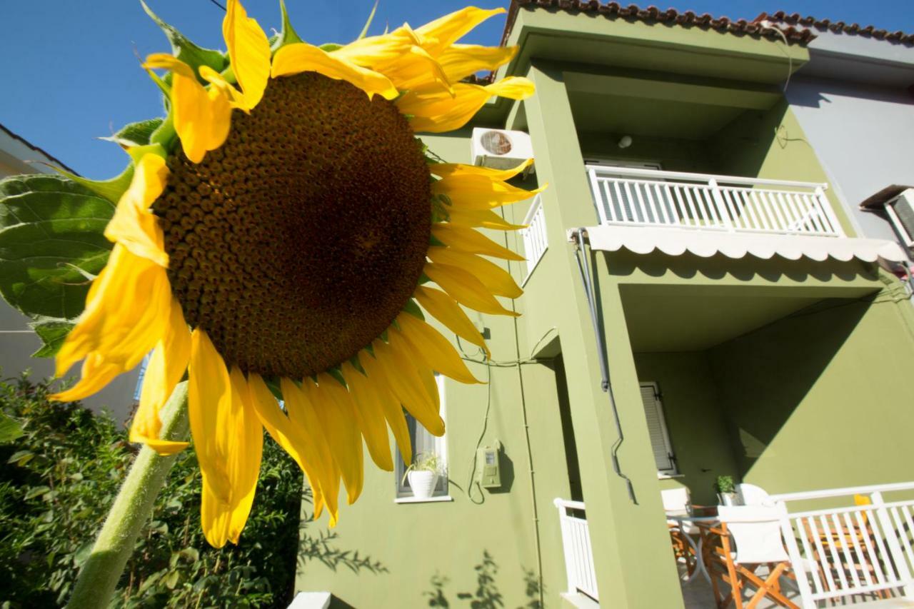 Vila Marietta'S Townhouse Argostoli  Exteriér fotografie